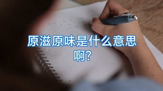 原滋原味是什么意思啊?