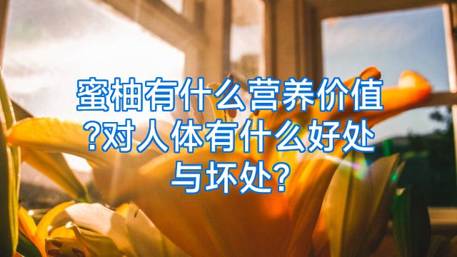 蜜柚有什么营养价值?对人体有什么好处与坏处?