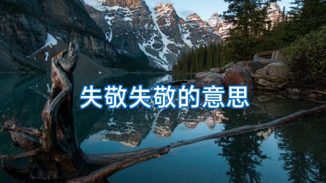 失敬失敬的意思