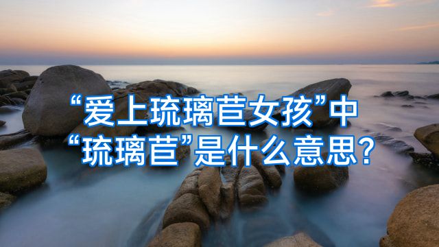 “爱上琉璃苣女孩”中“琉璃苣”是什么意思?