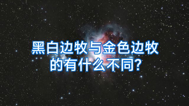 黑白边牧与金色边牧的有什么不同?