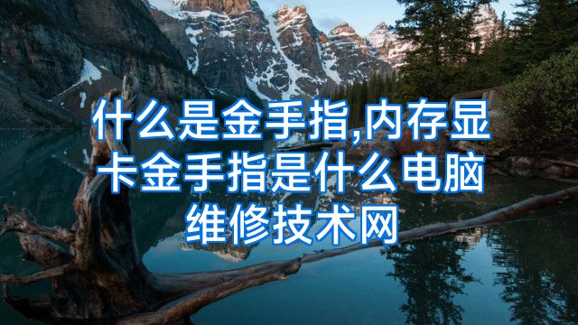 什么是金手指,内存显卡金手指是什么电脑维修技术网