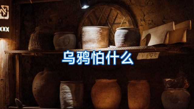 乌鸦怕什么