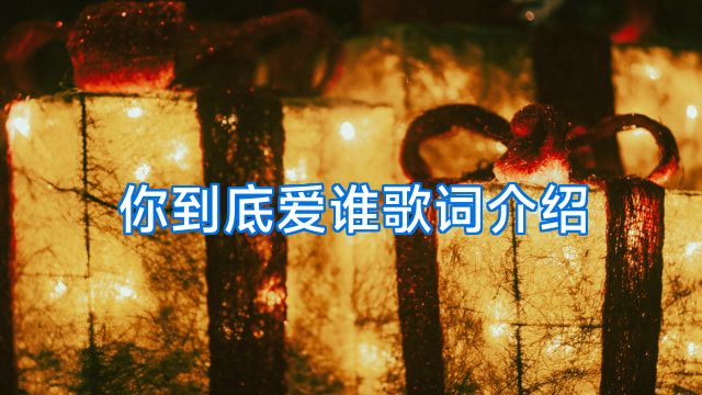 你到底爱谁歌词介绍