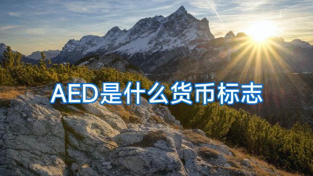 AED是什么货币标志