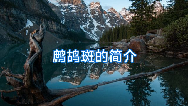 鹧鸪斑的简介