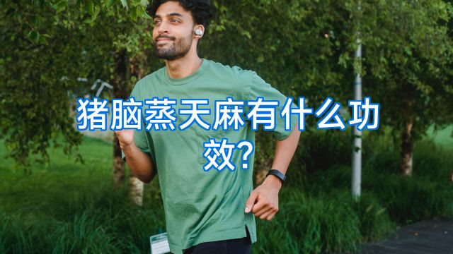 猪脑蒸天麻有什么功效?