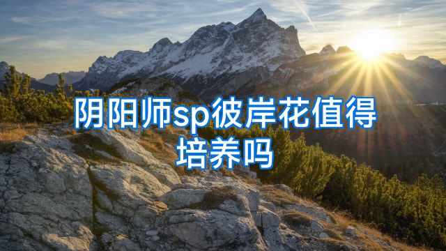 阴阳师sp彼岸花值得培养吗