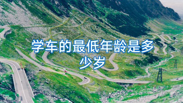 学车的最低年龄是多少岁
