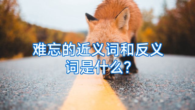 难忘的近义词和反义词是什么?