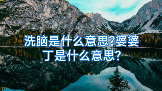 洗脑是什么意思?婆婆丁是什么意思?