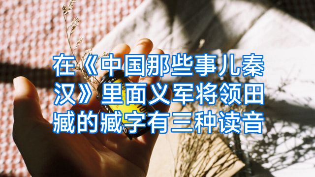 在《中国那些事儿秦汉》里面义军将领田臧的臧字有三种读音
