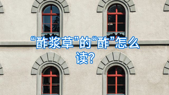 “酢浆草”的“酢”怎么读?