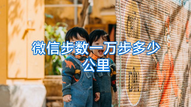 微信步数一万步多少公里