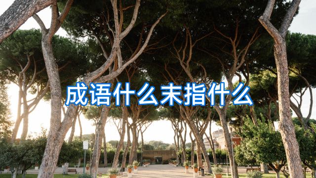 成语什么末指什么