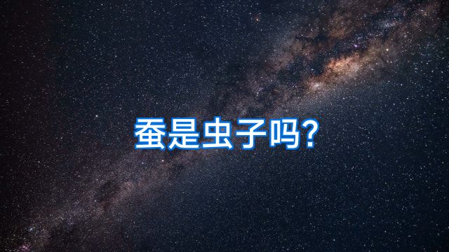 蚕是虫子吗?