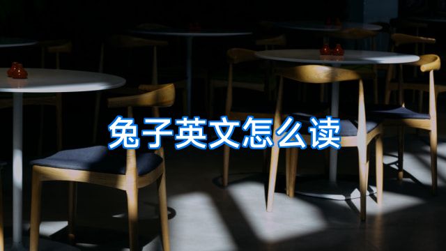 兔子英文怎么读