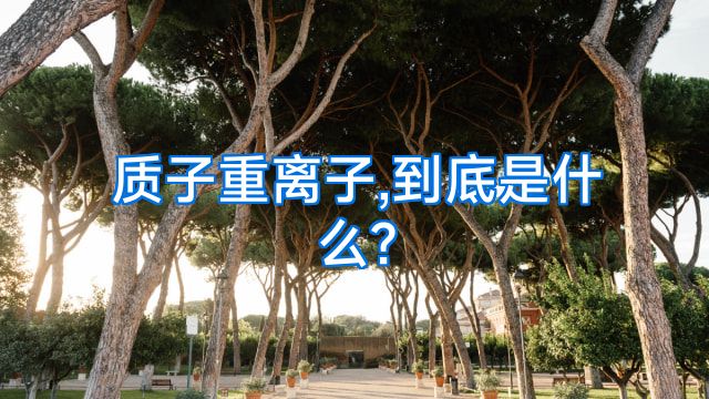 质子重离子,到底是什么?