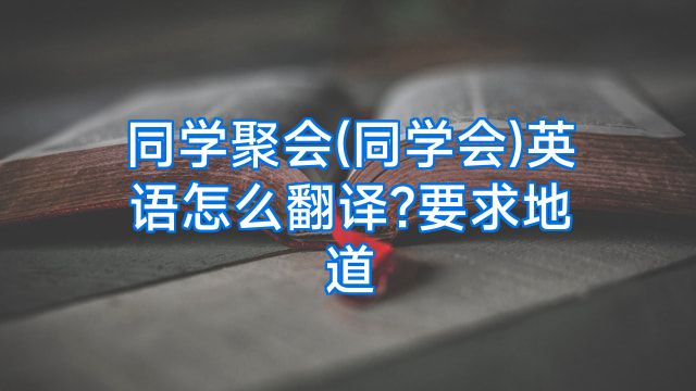 同学聚会(同学会)英语怎么翻译?要求地道