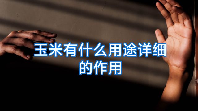 玉米有什么用途详细的作用