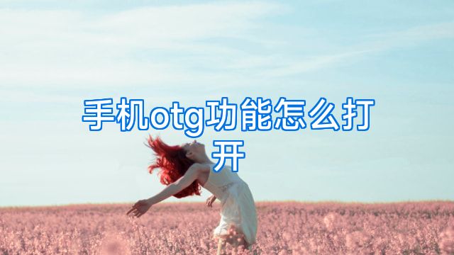 手机otg功能怎么打开