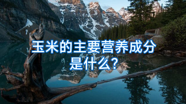 玉米的主要营养成分是什么?
