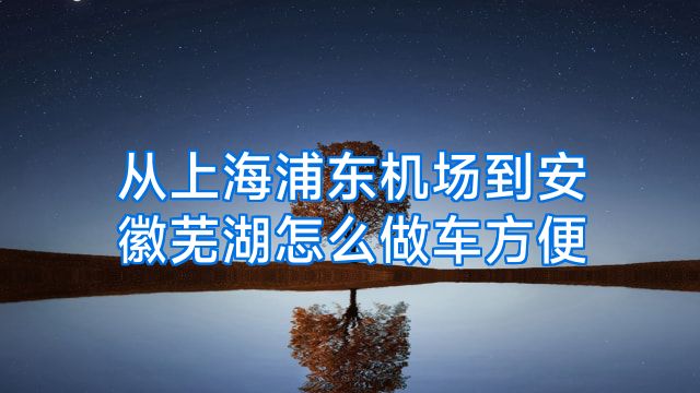 从上海浦东机场到安徽芜湖怎么做车方便