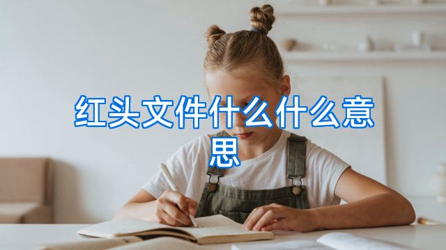红头文件什么什么意思