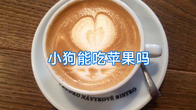 小狗能吃苹果吗