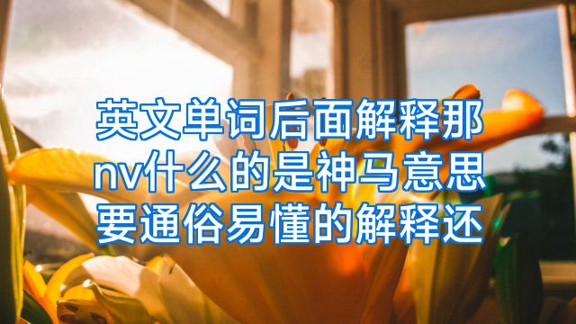 英文单词后面解释那nv什么的是神马意思要通俗易懂的解释还