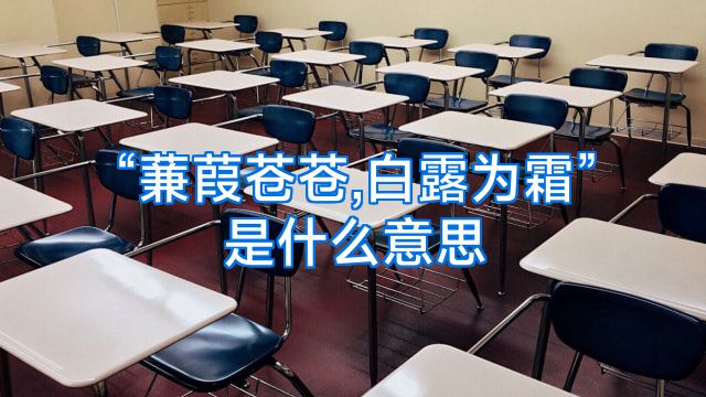 “蒹葭苍苍,白露为霜”是什么意思