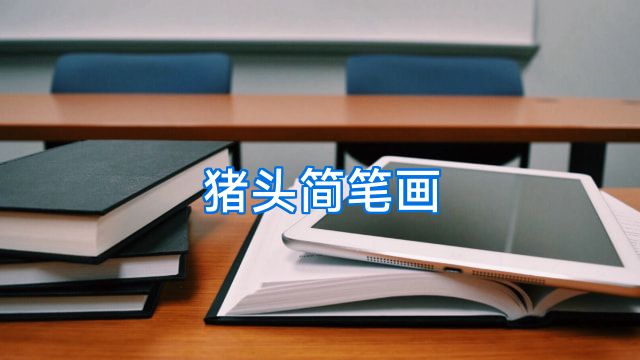 猪头简笔画