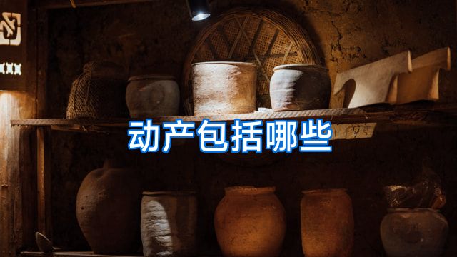 动产包括哪些
