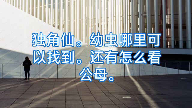 独角仙。幼虫哪里可以找到。还有怎么看公母。