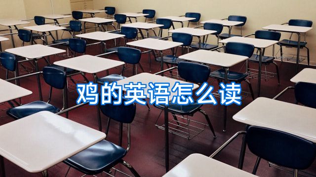 鸡的英语怎么读