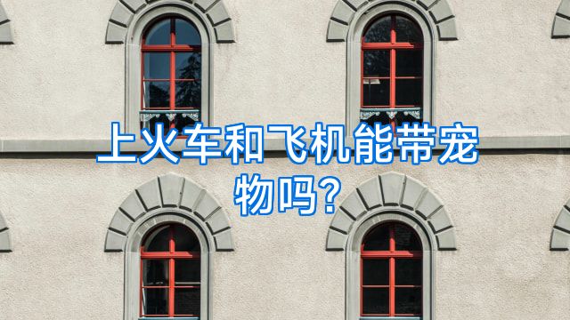 上火车和飞机能带宠物吗?