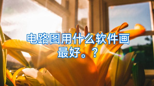 电路图用什么软件画最好。?