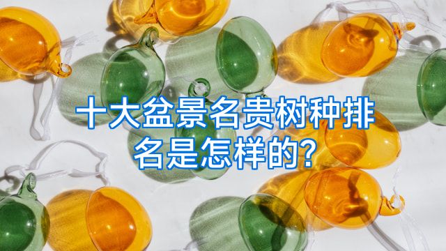 十大盆景名贵树种排名是怎样的?