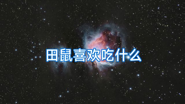 田鼠喜欢吃什么