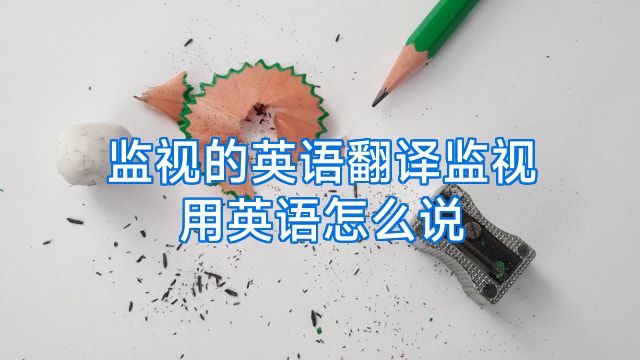监视的英语翻译监视用英语怎么说