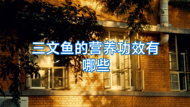 三文鱼的营养功效有哪些