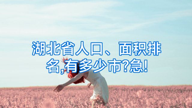 湖北省人口、面积排名,有多少市?急!