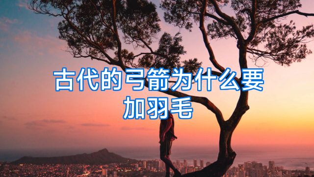 古代的弓箭为什么要加羽毛