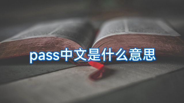 pass中文是什么意思