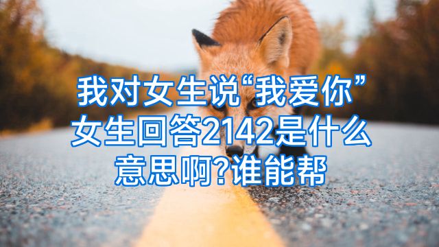 我对女生说“我爱你”女生回答2142是什么意思啊?谁能帮