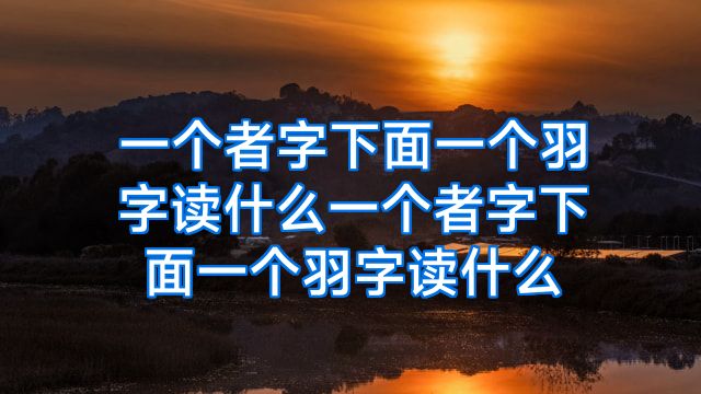 一个者字下面一个羽字读什么一个者字下面一个羽字读什么