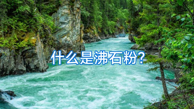 什么是沸石粉?