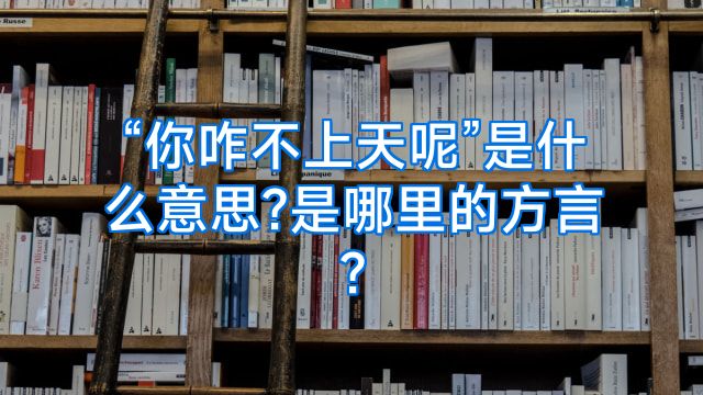 “你咋不上天呢”是什么意思?是哪里的方言?