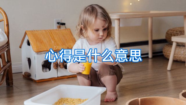 心得是什么意思