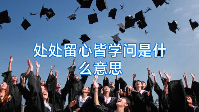处处留心皆学问是什么意思